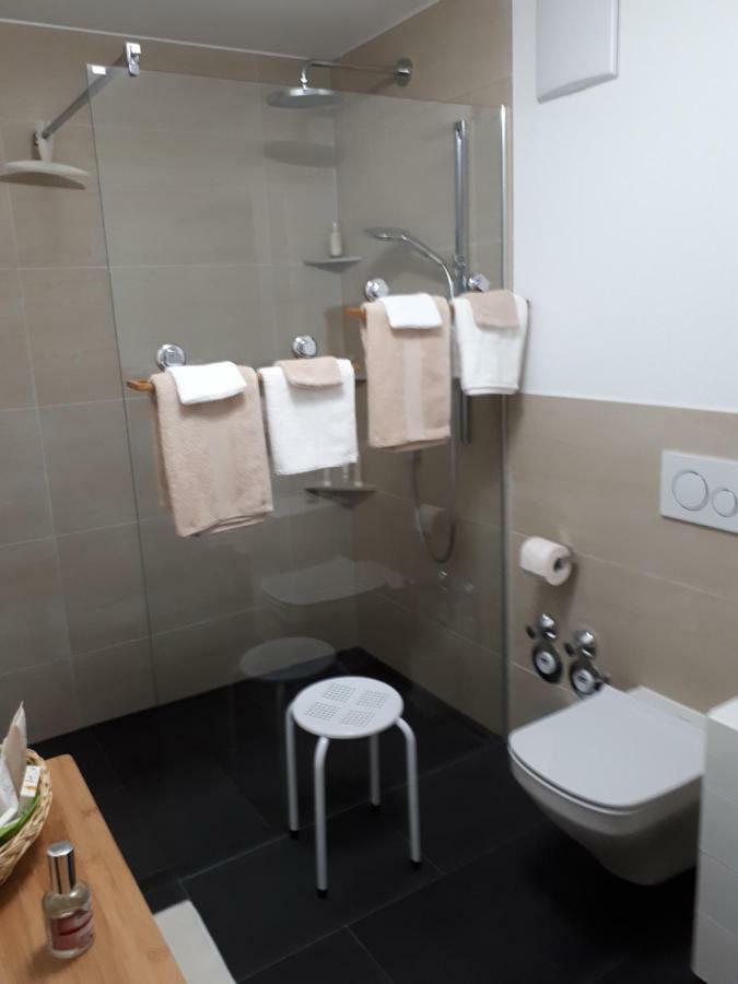 Bad Saeckingen - Sie Werden Sich Hier Wohl Fuehlen Apartment Exterior foto